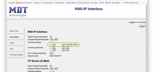 MDT IP Interface